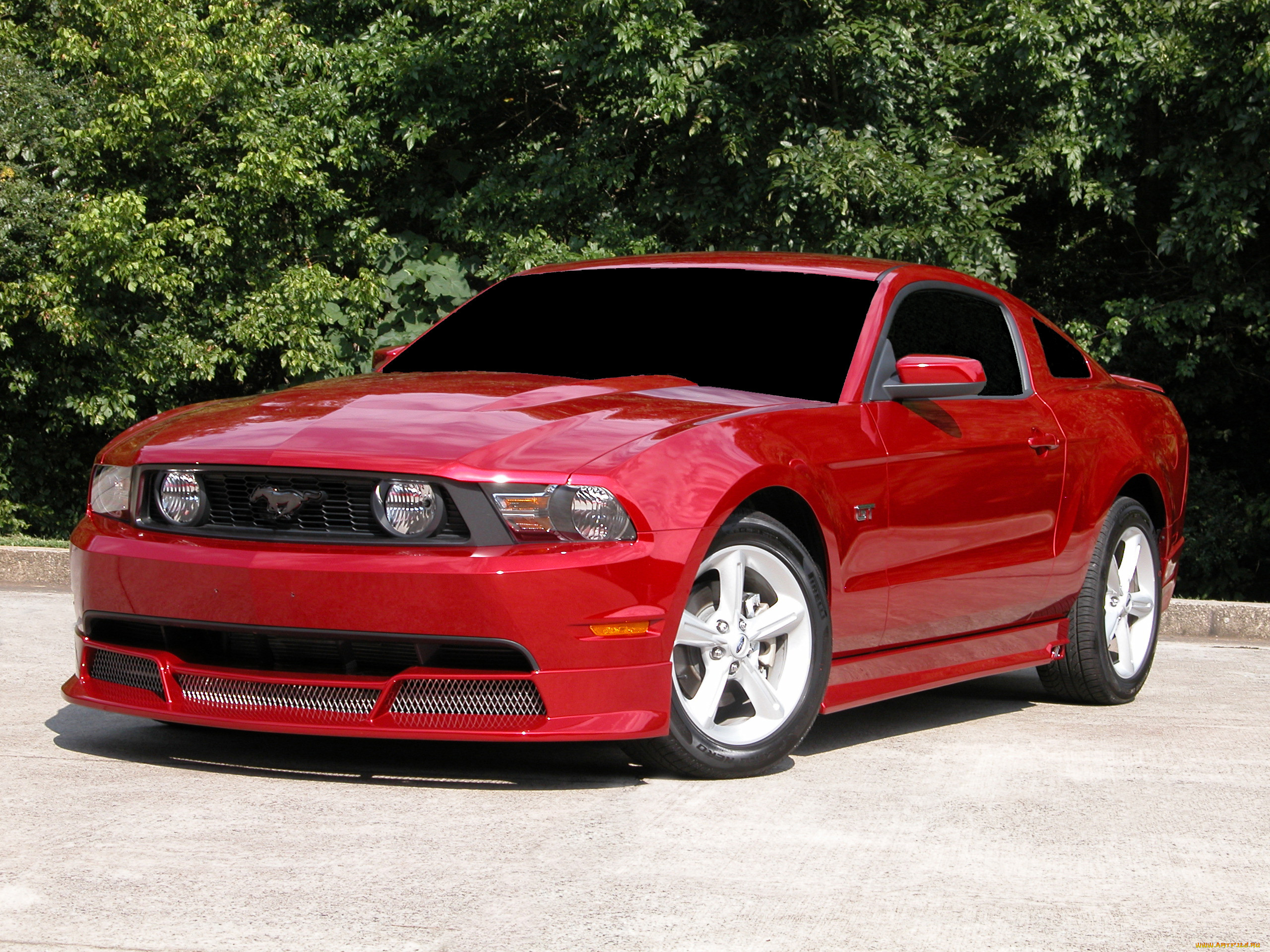 , mustang, muscle